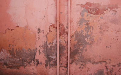 How To Test For Mold