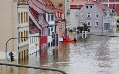 What Happens During The Water Restoration Process?