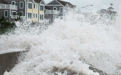 Hurricane Michael One Month Later
