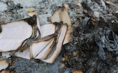 Top Causes of Kitchen Fires