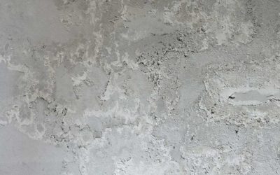 The Science Behind Your Home Mold
