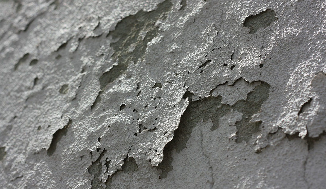 mold damage in davie