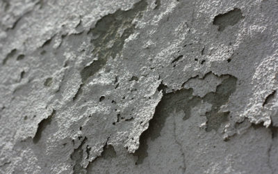 What Employers Should Know About Mold Damage