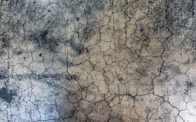 Do You Need Black Mold Removal? Here’s How to Tell!