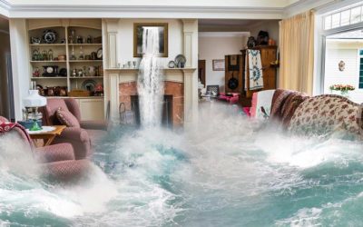 The Water FAQs You Should Know