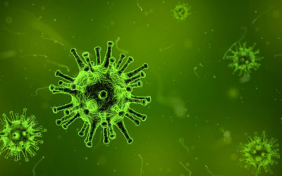 What Does Mold Exposure Mean For Your Health