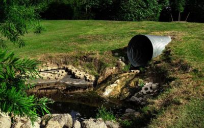 What To Do About a Backed Up Sewer Line