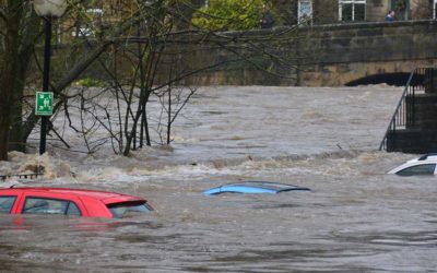 Will Your Insurance Cover Your Water Damage?