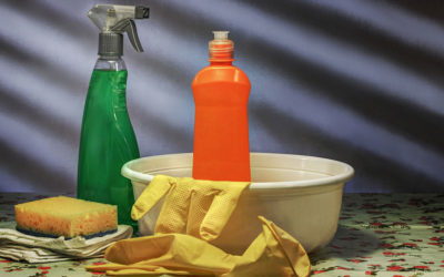 Can House Mold Return After Remediation?