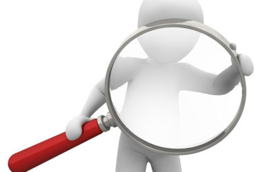 Mold Inspection: How Long Does It Take For Mold to Grow?