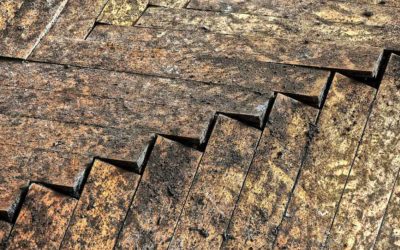 Water Damage Services & Recovering From Busted Pipes