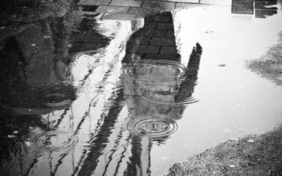 Water Restoration: What Smelly Carpets Could Mean For You