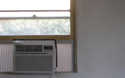 Preventing Mold: What To Know About Your A/C