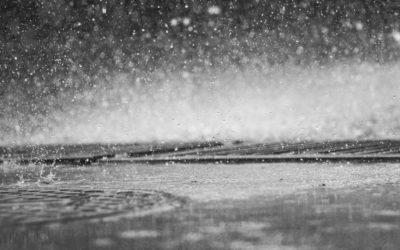 How to Maximize Your Water Damage Insurance Claim