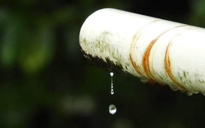 Need Water Damage Restoration Near Me? Smart Devices Help!