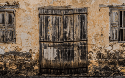 All About House Mold Removal & How it Differs From Mildew