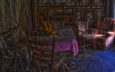 Why a Mold Inspection is the Key to Controlling an Outbreak