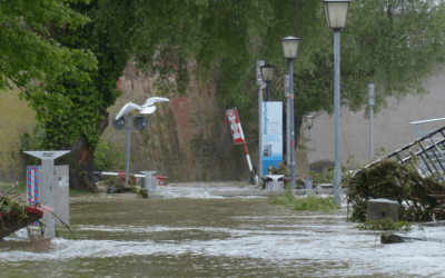 How Water Damage Cleanup Companies Classify Water Damage