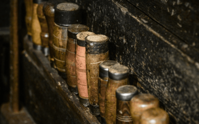 A Water Damage Company Can Fix Your Carpet!