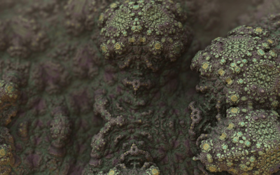 Do You Need ERMI Testing? Learn More From Mold Experts