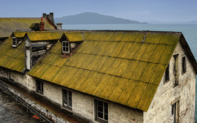 Water Restoration Company Offers Solutions for Roof Damage