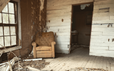 Can Mold Kill You? How A Mold Inspection Can Save Your Life