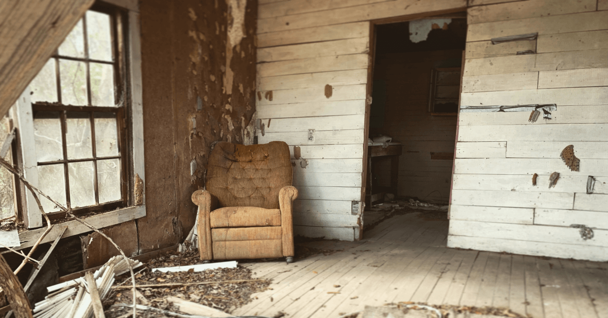 Mold Can Kill You. Get an Inspection With Us Today!