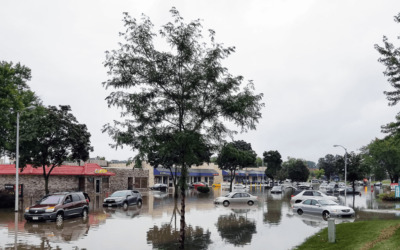How To Deal with Water Damage and Quick Restoration