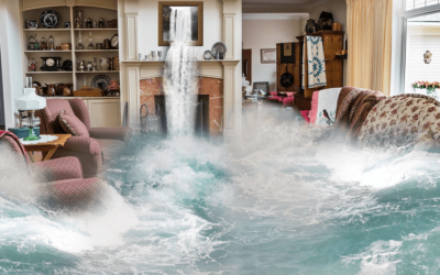 What is a Water Mitigation Specialist?