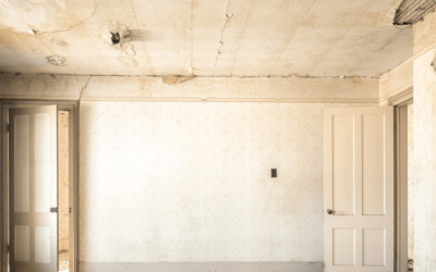 Can You Still Sell a House with House Mold