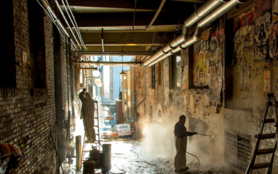 Illnesses From Mold: Does Mold Cause Cancer?