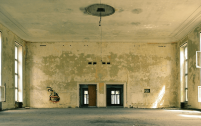 What to Expect: Mold Remediation Costs & More