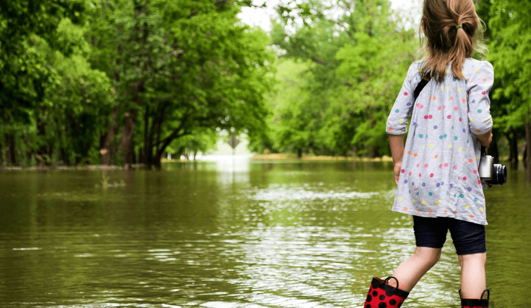 Prevent Restoration Cleaning Services With These Flood Preparedness Tips