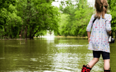 Prevent Restoration Cleaning Services With These Flood Preparedness Tips