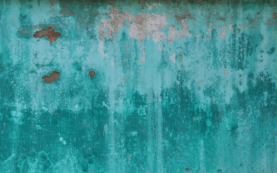 Get a Black Mold Test Before Buying a Property With Mold