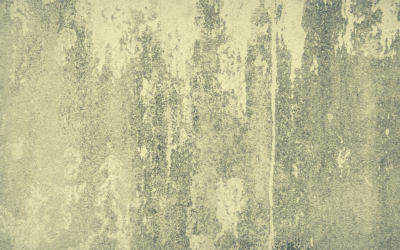Beware of Toxic Mold! Is Ingesting Mold Dangerous?