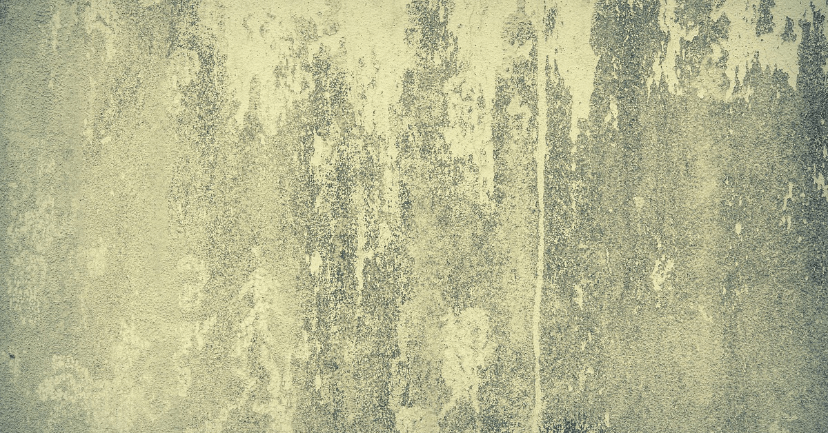 Beware of Toxic Mold! Is Ingesting Mold Dangerous?