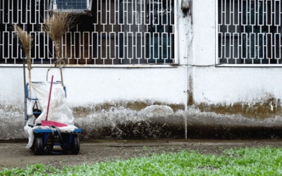 Mold Experts Want You To Know This Before You Paint Over Mold
