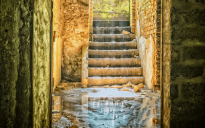 Water Removal Is Important – Water Damage Can Be Hazardous to Your Health