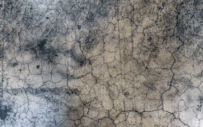 Water Damage Cleanup: Why You Shouldn’t Leave Water Damage Untreated