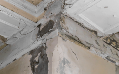 Get Mold Testing: Water Damage Can Lead to Mold & Mildew