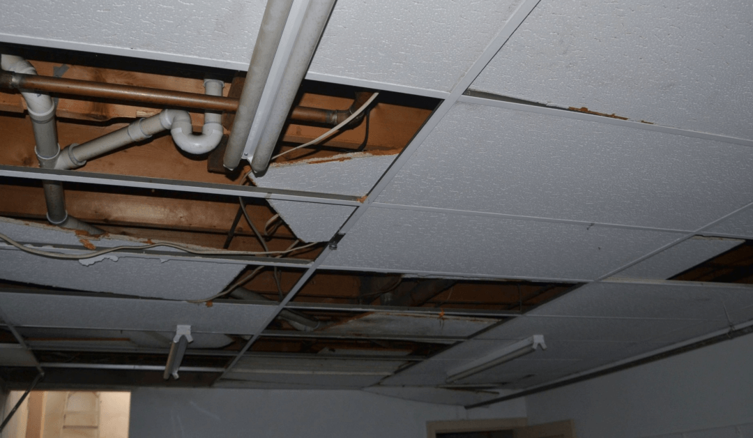 A Water Remediation Company Wants to Prevent Your Home From Water Damage